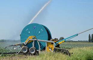 NG体育·(中国)官方网站-NG SPORT