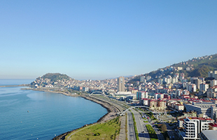 NG体育·(中国)官方网站-NG SPORT